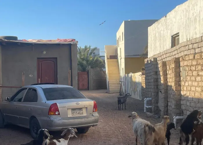 شقة Modern & Charming 2br - Navy House *